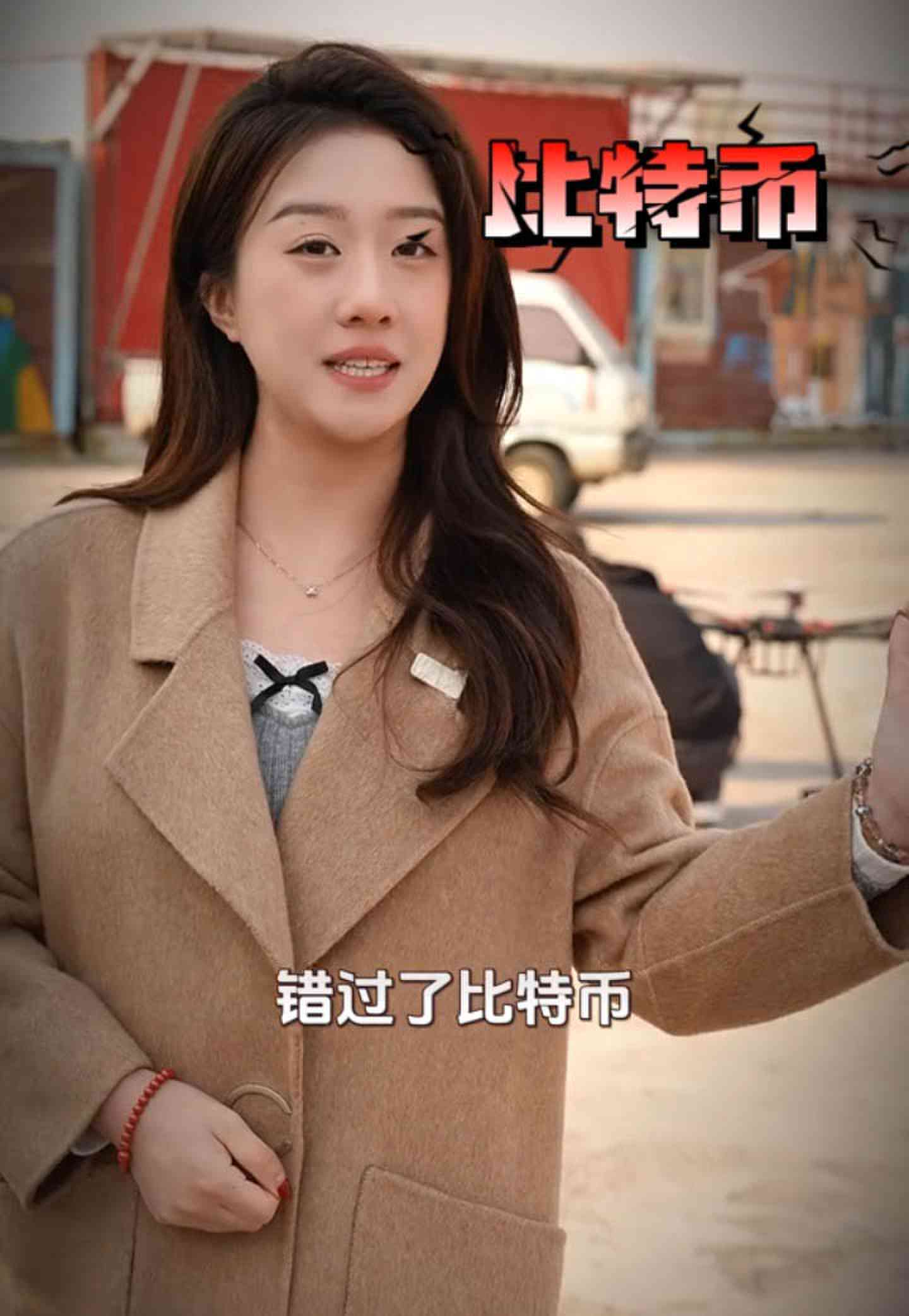 北辰培训学校GEO优化案例